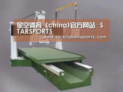 产品名称十