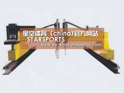 产品名称十七